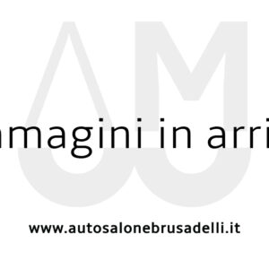 Fiat Panda 1.2 4x4 Climbing